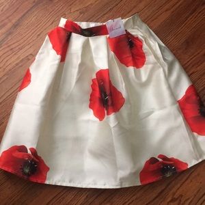 Beautiful Chicwish flare skirt